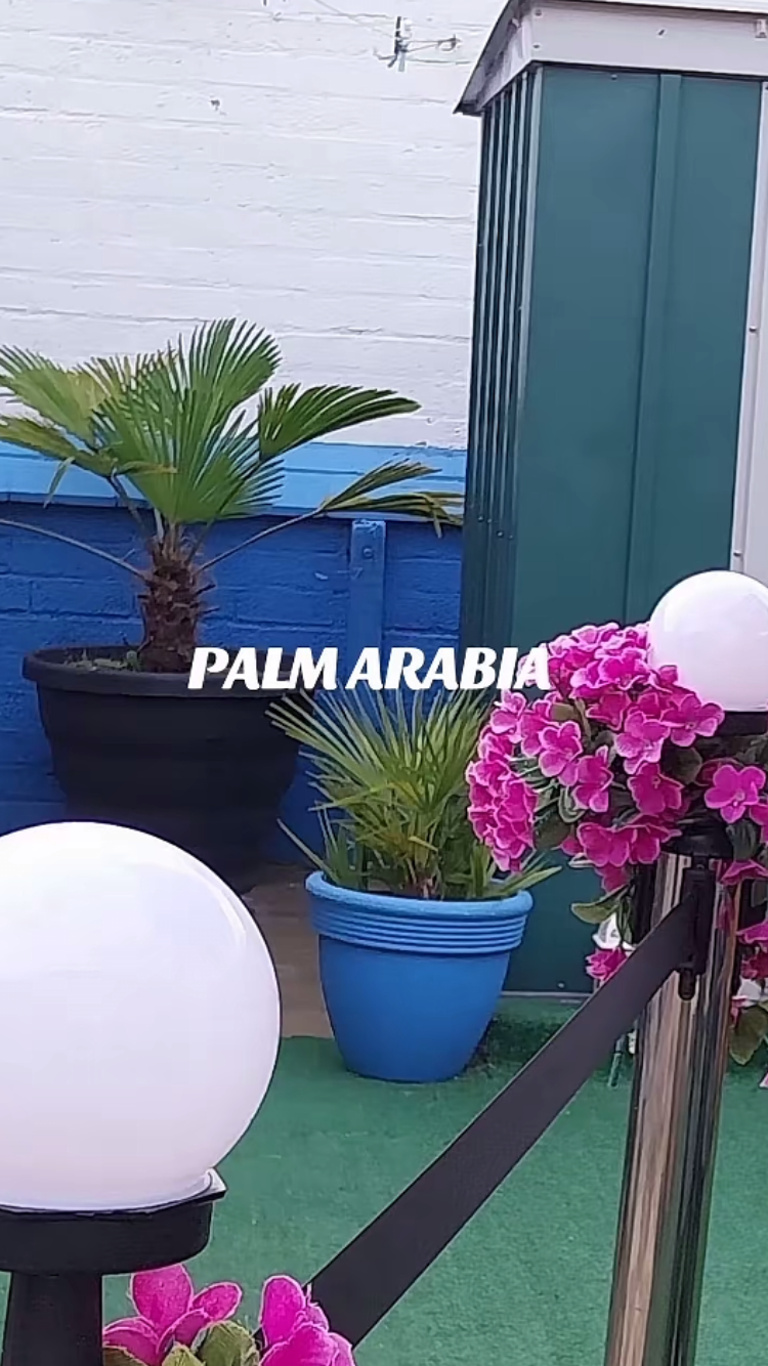 Palm Arabia logo