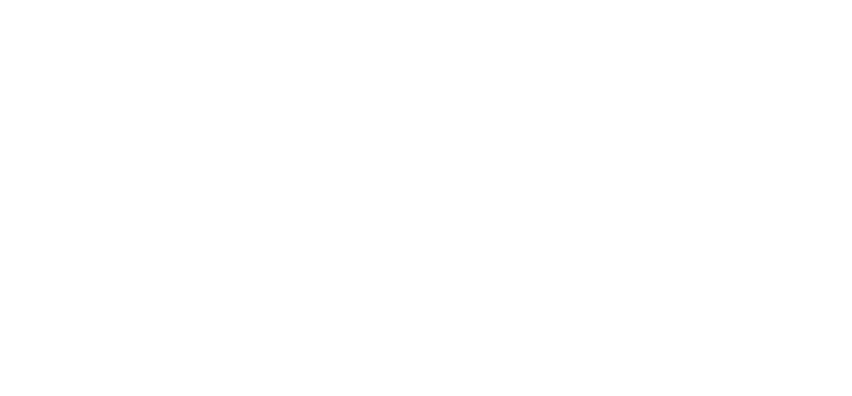 Lisa Lynn Renovations & Consulting logo