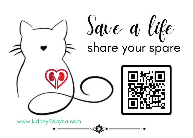 Kidney4Dayna logo