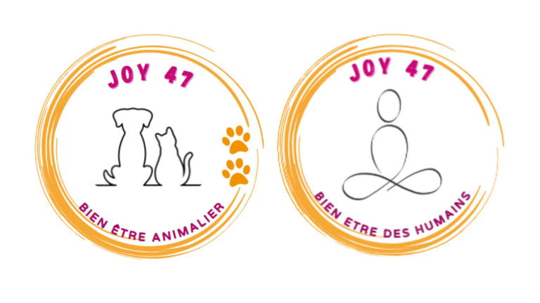 JOY47 logo