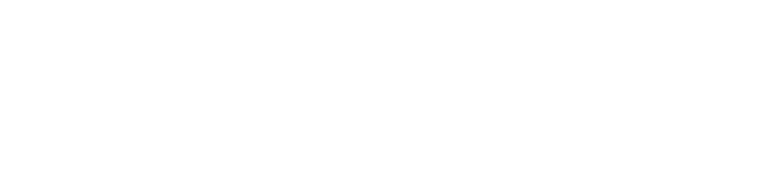 Next Level Athlete Academy logo