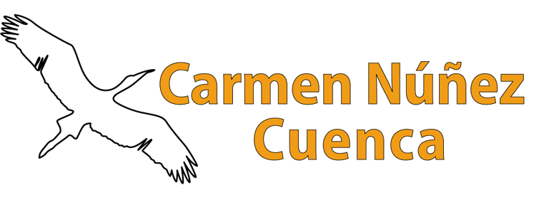 CARMEN NÚÑEZ CUENCA logo