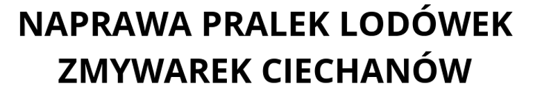 Serwis AGD Ciechanów logo