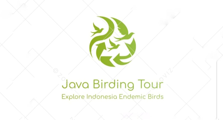 Java Birding Tour logo
