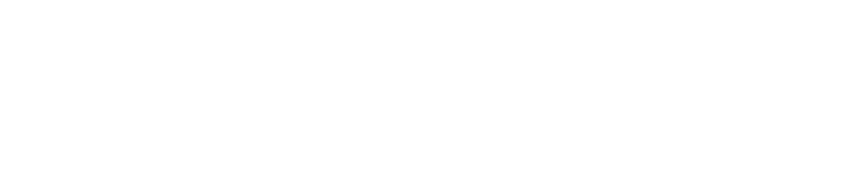 Nocturnal Tours logo