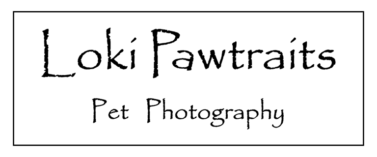 LokiPawtraits logo