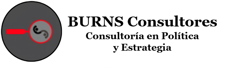 burnsconsultores.com logo