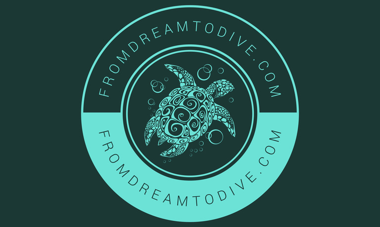 fromdreamtodive.com logo