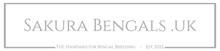 Sakura Bengals UK logo