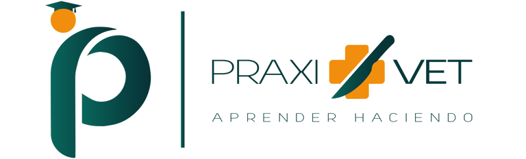 PraxiVET logo