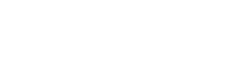 Online Notariat logo