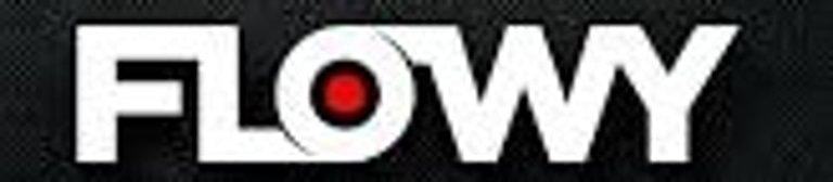 Flowy (FZE) logo