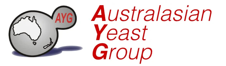 AYG logo