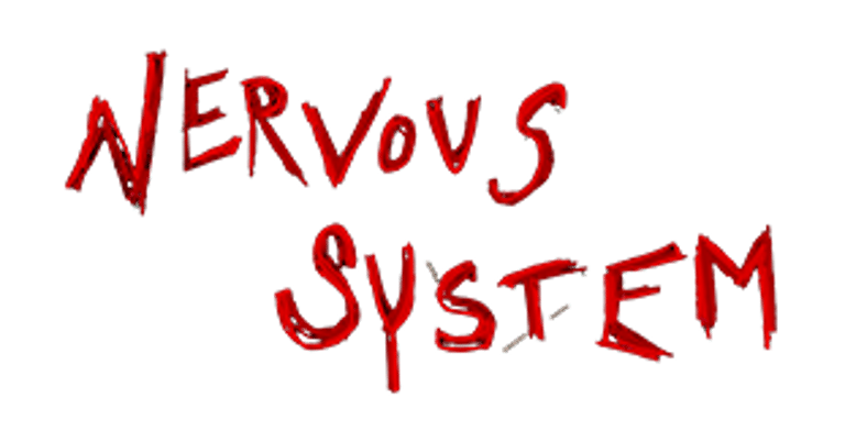 Nervous System logo
