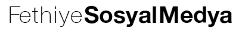 Fethiye Sosyal Medya Ajansı logo