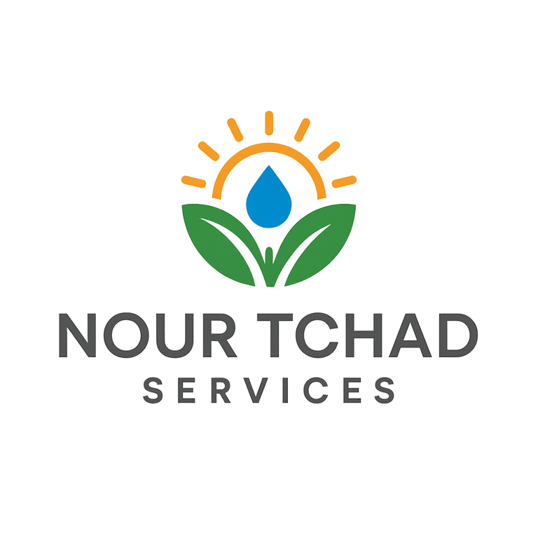 Nour Tchad Services logo