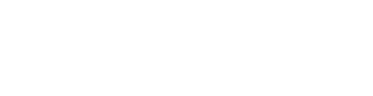 EvolutHome.lt logo