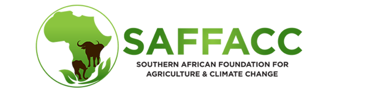 SAFFACC logo