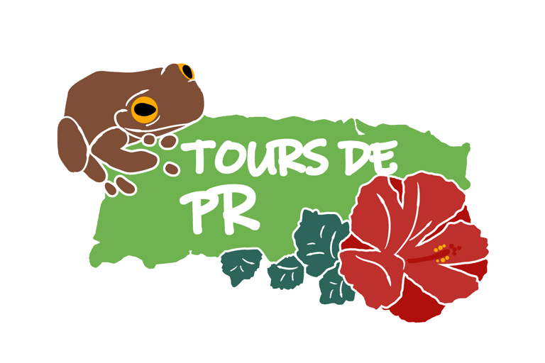 ToursDePR logo