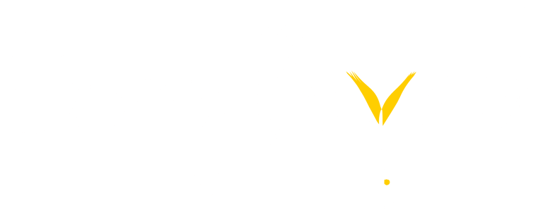 College Admissions Consulting logo