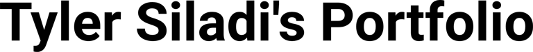Tyler Siladi's Portfolio logo