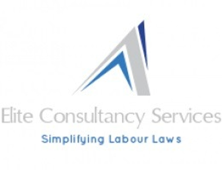 Elite Consultancy Services logo