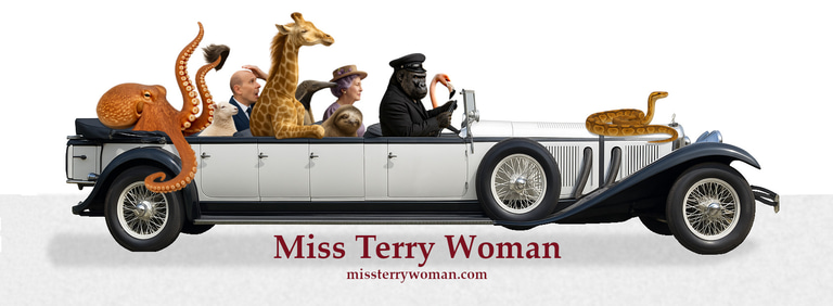 Miss Terry Woman logo