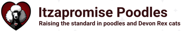 Itzapromise logo