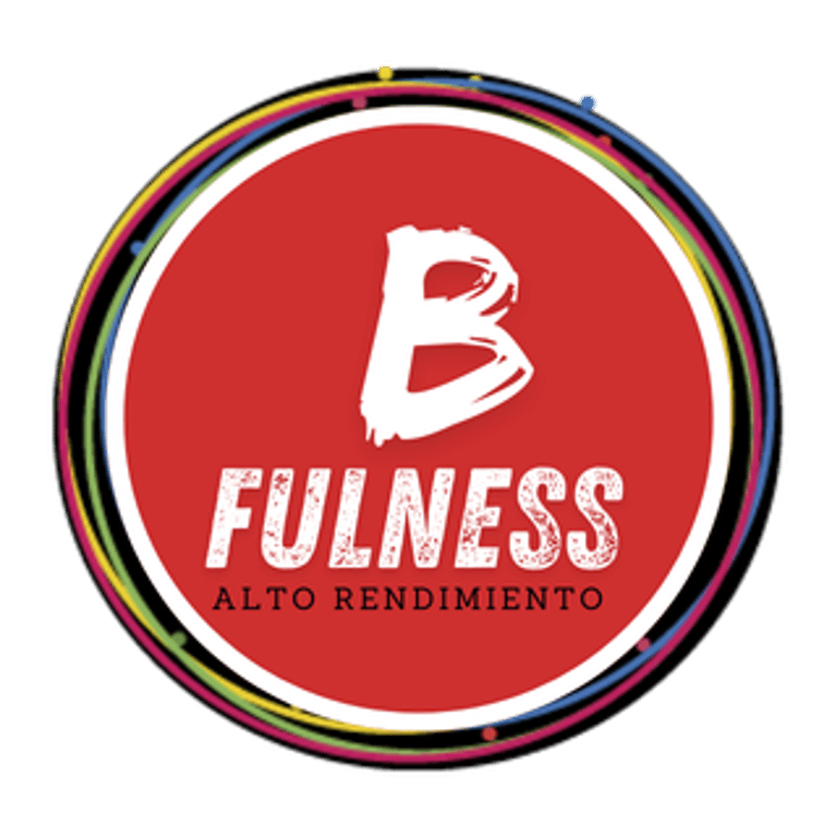 BFULNESS SPORT logo