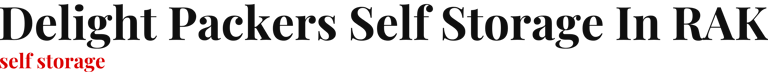 Delight Packers Self Storage In RAK logo
