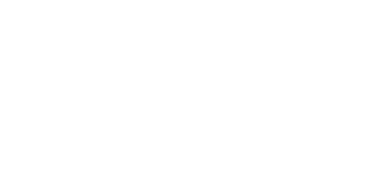 JP Diniz Consulting logo