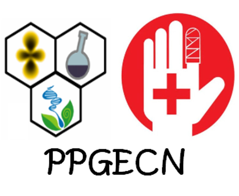 Primeiros Socorros para Professores logo