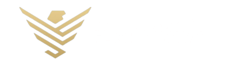 FLIGHT HAWK colegio de aviación logo