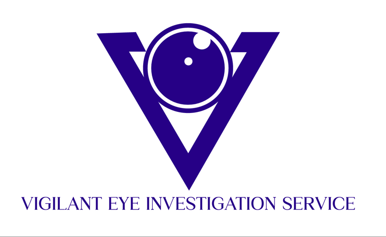 Vigilant eye investigation service logo