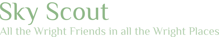 SkyScout logo