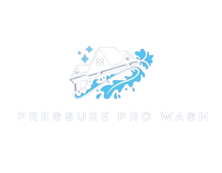 PRESSURE PRO WASH LLC logo