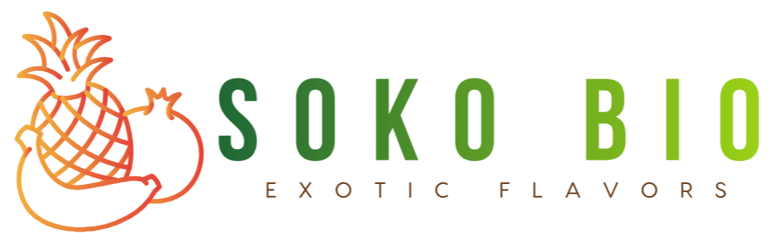 soko ethik logo