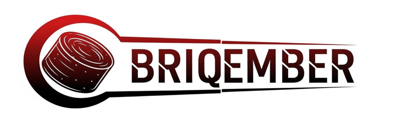 BRIQEMBER logo