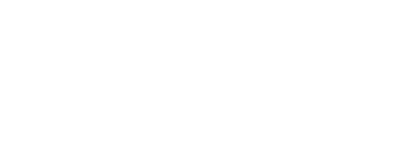 D-BJJ logo