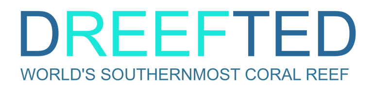Dreefted logo