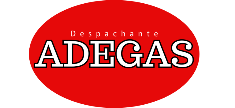 Despachante em Hortolândia-SP | Documentação Veicular com Agilidade e Segurança logo