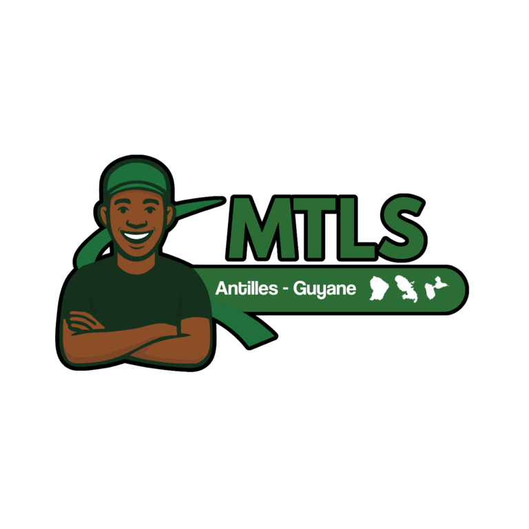 MTLS – Mécanique, Transport, Location, Services logo