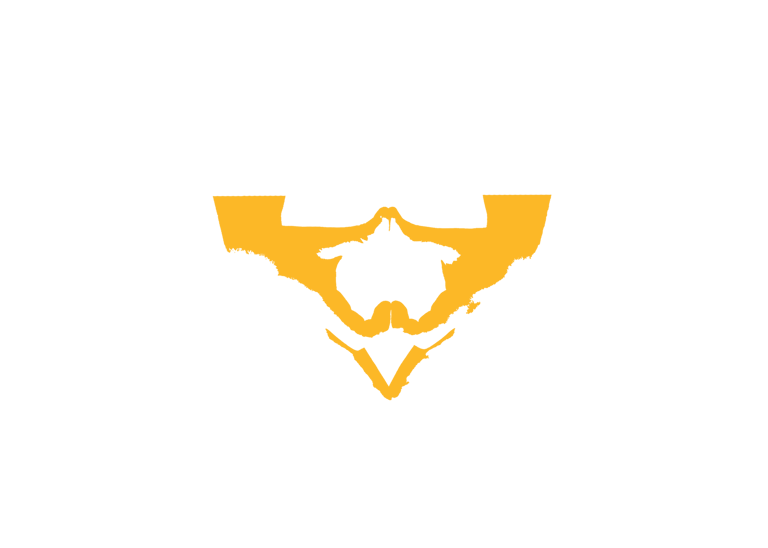REINCARNATION Studios logo