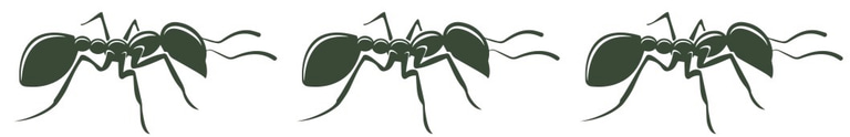 Alba - Costa Rica's Most Passionate Tour Guide logo