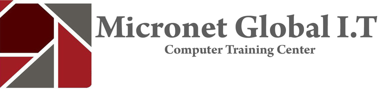 Micronet Global It Computer Training Center logo