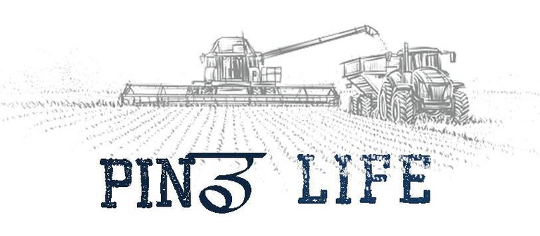 Pindlife logo