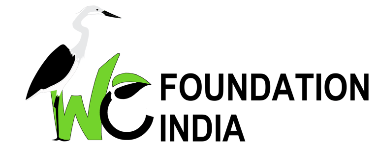 We Foundation India logo