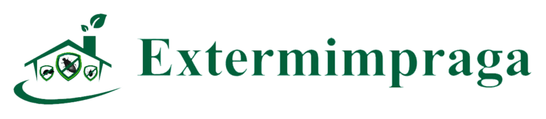 Adrià Solà Pastor logo