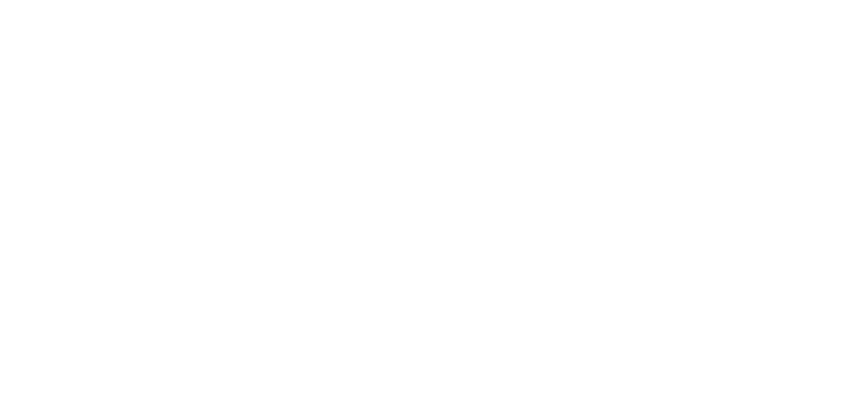 Dorin Sasson logo