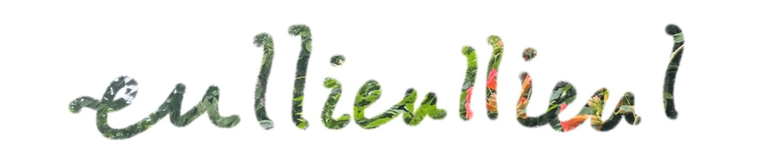 eullieullieul logo